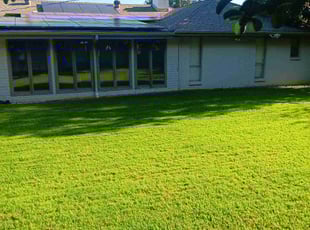 Katie F.'s Grass Cutting service result