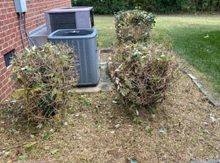 Bush Trimming by Melvin Pryor for Daniel Y. in Nashville, TN