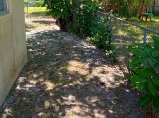 Leaf Removal by Geno Greewald for Mark F. in North Miami Beach, FL