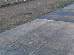 Leaf Removal by Laquinta Smith for Stephanye S. in Memphis, TN