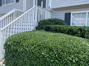 Bush Trimming by Virgil Greene for Ray H. in Jonesboro, GA