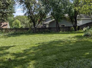 Christa M.'s Grass Cutting service result