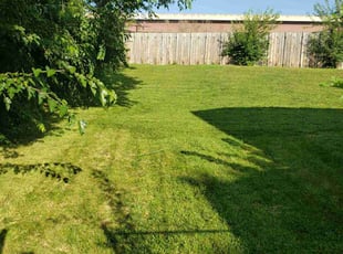 Susan R.'s Lawn Care service result