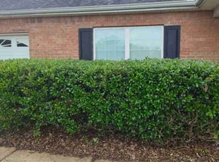 Bush Trimming by Calvin Walker for Cindell D. in Locust Grove, GA
