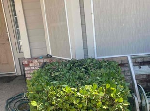 Bush Trimming by Ramon Mojica for Diane G. in Lincoln, CA