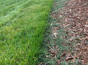 Khanh L.'s Lawn Mowing service result