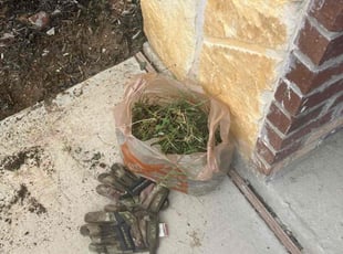 Weeding by Zachary Coonrod for Jamhal B. in Denton, TX
