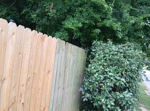 Bush Trimming by Daiby Alvarez for Amanda V. in Porter, TX