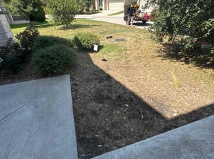 Weeding by Noah Fiechtner for Anil K. in Austin, TX