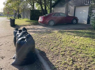 Leaf Removal by Mowpro's Llc for Todd H. in Bedford, TX
