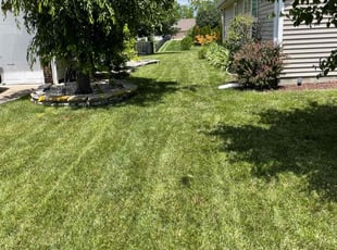 Anna Marie B.'s Lawn Maintenance service result