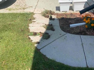 Weeding by Robert Cain for Sushma J. in Lyon Charter Township, MI