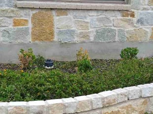 Bush Trimming by Vincent Vasquez for Qasim S. in San Antonio, TX