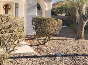 Weeding by Lamont Johnson for Nick O. in Las Vegas, NV