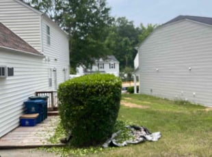 Bush Trimming by Vanquas Scotton for Clifton D. in Durham, NC