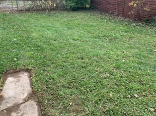 Cleanups by Jt Sallee for Jay P. in Cincinnati, OH