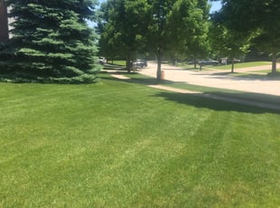 Cleanups by Phillip Kukla for Jeff S. in Gurnee, IL