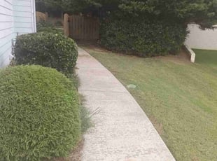 Bush Trimming by Enrique Juarez for Melissa O. in Woodstock, GA