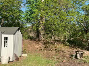 Leaf Removal by Albert Matos for Natalia M. in East Hartford, CT