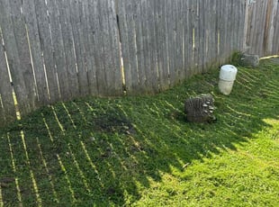 Alva W.'s Lawn Mowing service result