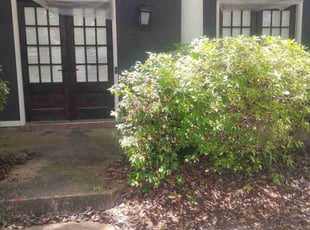 Cleanups by Harry Garrett for Jeremy B. in Madison, MS