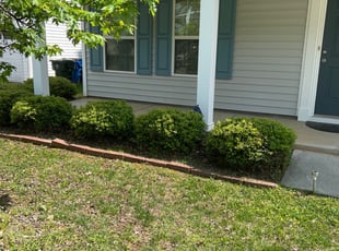 Bush Trimming by Sandra Gutierrez for Christina S. in Raleigh, NC