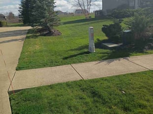 Hector V.'s Lawn Mowing service result