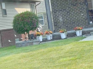 Bush Trimming by Timothy Muir for Rachel N. in New Baltimore, MI