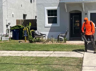 Weeding by Dwaylon Peterson for Anthony S. in Tampa, FL
