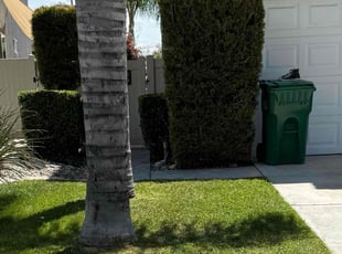 Bush Trimming by Omar Meza for gabriele t. in Murrieta, CA