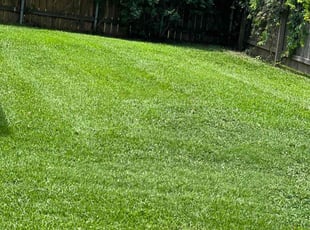 Al T.'s Yard Cutting service result