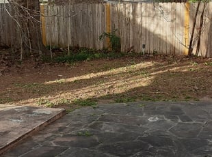 Leaf Removal by Manuel Torres for James S. in Houston, TX