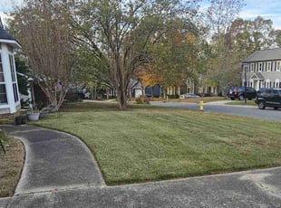 Anthony W.'s Lawn Mowing Service service result