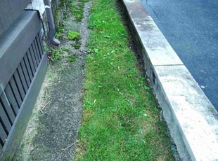 Cleanups by Amilcar Patrick for Kay S. in Lowell, MA