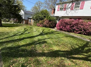 Dustin S.'s Lawn Maintenance service result