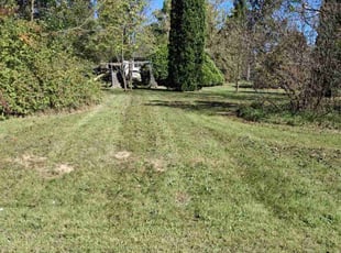 Connie P.'s Lawn Maintenance service result