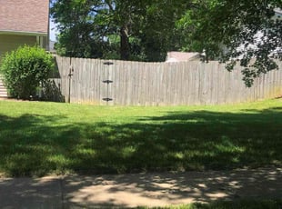 Leaf Removal by DeVontae Lewis for Teresa H. in Lexington, KY