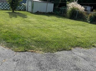 Louise W.'s Lawn Mowing service result