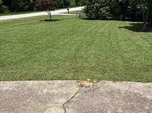 Cleanups by B fleming for Erick K. in Norcross, GA