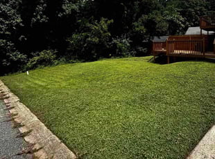 Jessica D.'s Lawn Mowing service result
