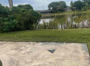 Bush Trimming by John Andrews for skyla k. in West Palm Beach, FL