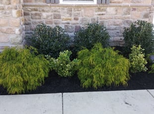 Mulching by Greg Bush for Shaneka S. in Upper Marlboro, MD