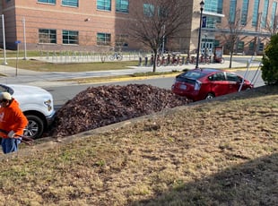 Cleanups by Angel P. for Elizabeth A. in Arlington, VA
