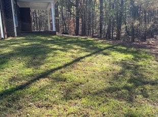 Venice C.'s Lawn Maintenance service result