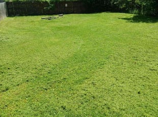 Kelly A.'s Yard Cutting service result