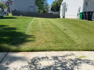 Donna V.'s Lawn Care service result