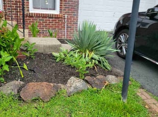 Weeding by Betty Cano for Terri C. in Bristow, VA
