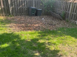 Cleanups by Maurice Malepeai for Thomas G. in Omaha, NE