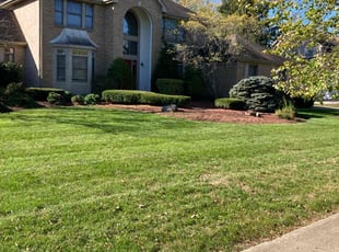 Greg S.'s Lawn Mowing service result