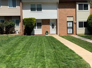 Tanica R.'s Lawn Service service result